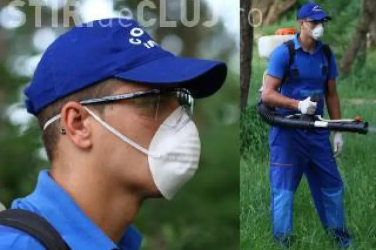 Cluj: A treia etapă de deratizare pe domeniul public