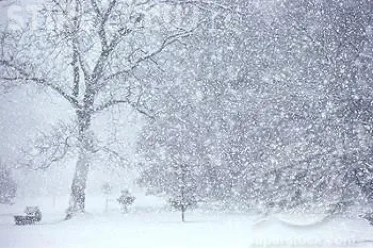 Ninsoare și ger la Cluj. Ce anunță meteorologii pentru zilele următoare