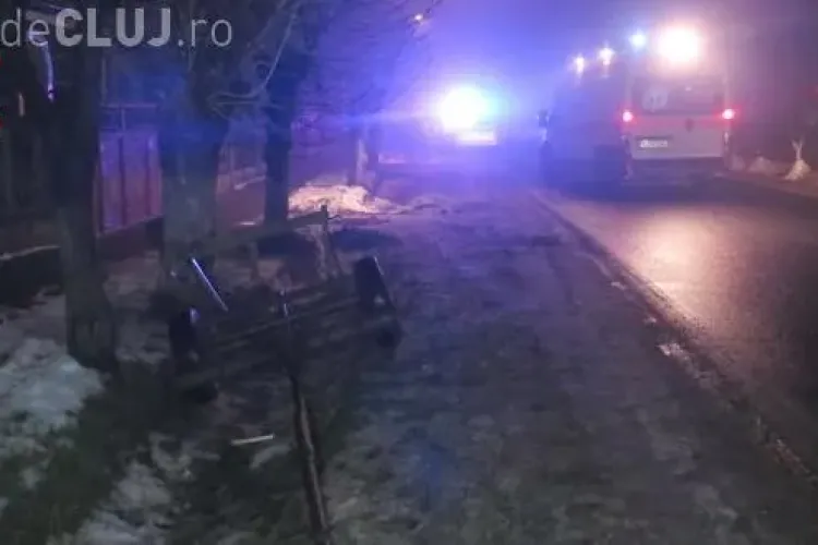 Un cal scăpat de sub control a făcut prăpăd pe un drum din Cluj. A rupt o căruță în două și a lovit un Mercedes VIDEO