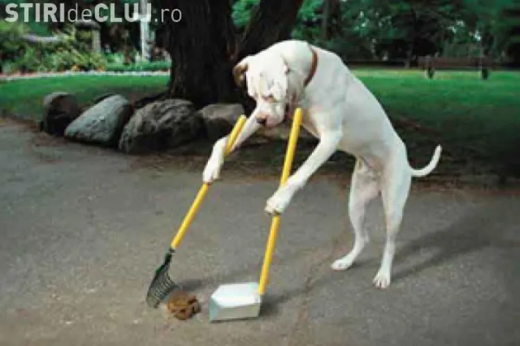 Clujeancă: Parcul Mare e plin de excremente de câine
