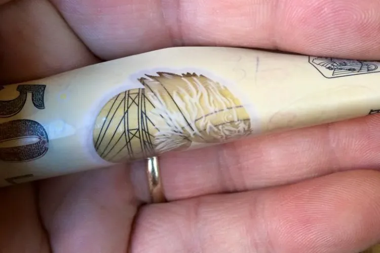 Proiectul ”Bani cu Suflet” a reînceput la Cluj-Napoca