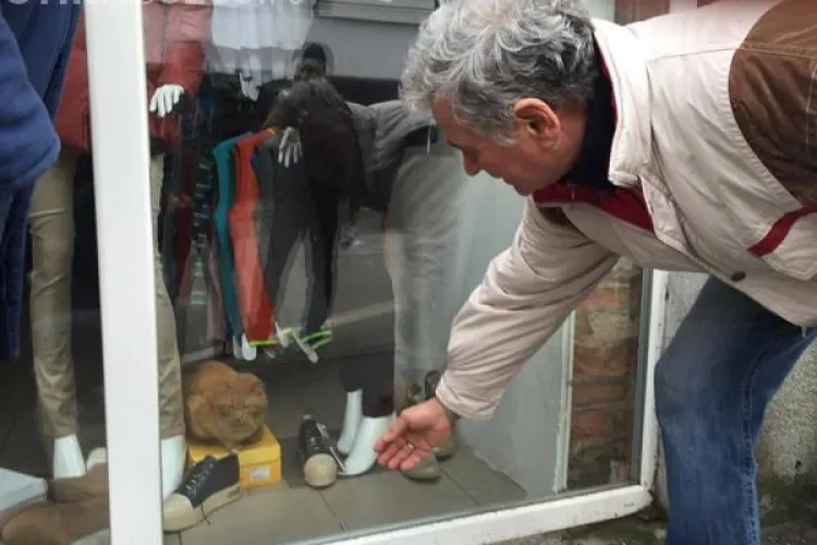 O pisică este captivă într-un magazin sigilat de ANAF. Pompierii ezită să intervină