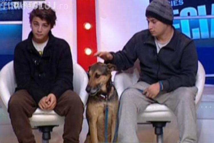 Gigi Becali îi dăruiește o casă băiatului care cerșește cu un câine