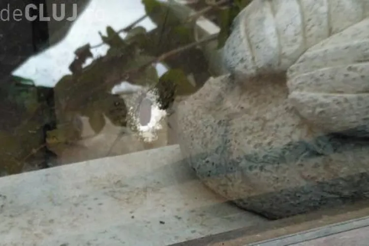 Cum se face deszăpezirea la Gherla. Oamenii s-au trezit cu geamurile sparte și o femeie a fost lovită cu piatra în cap