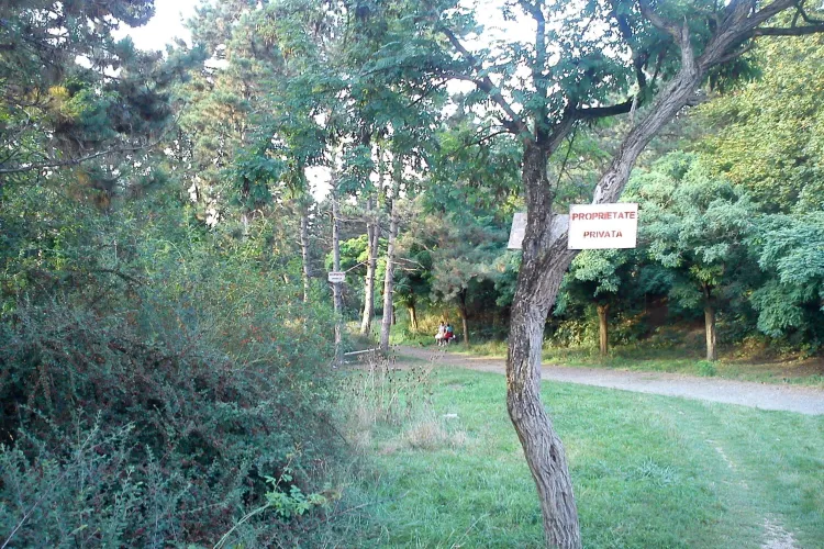 Un ONG din Cluj-Napoca propune ”exproprierea pentru spații verzi”