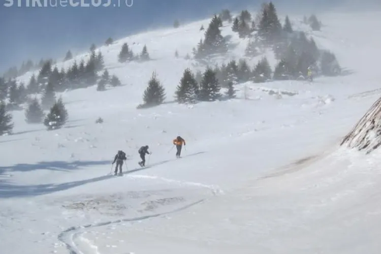 COD GALBEN de vijelie puternică în zona de munte a Clujului. Vântul va sufla cu peste 100 km/h
