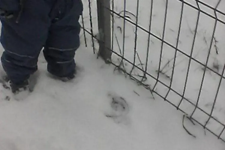 Gardurile metalice din cartierele Clujului sunt un real pericol - FOTO