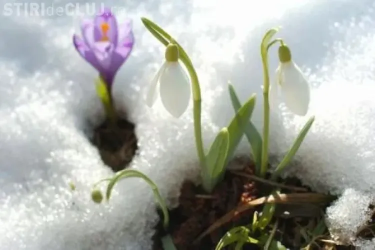 Cum va fi vremea. Va ploua în toată ţara. Prognoza meteo pe următoarele două săptămâni