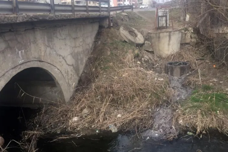 Dejecțiile din Apahida ajung direct în Someș. Ne putem îmbolnăvi cu E.COLI