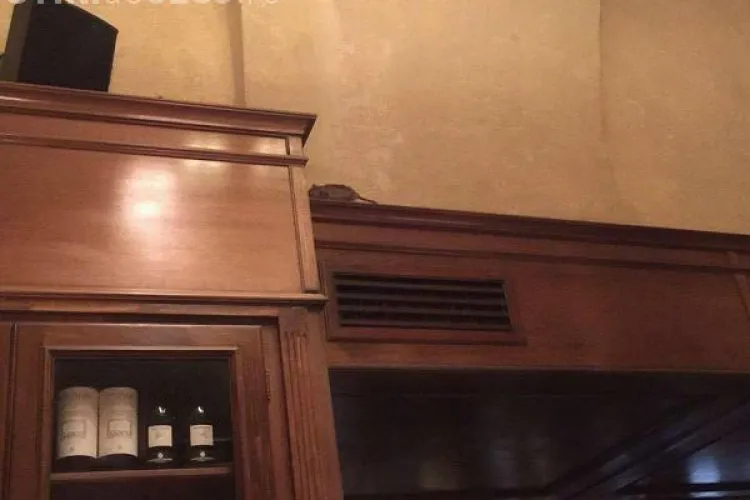 Reacția Toulouse după apariția fotografiilor cu un șobolan care se plimba prin cafenea