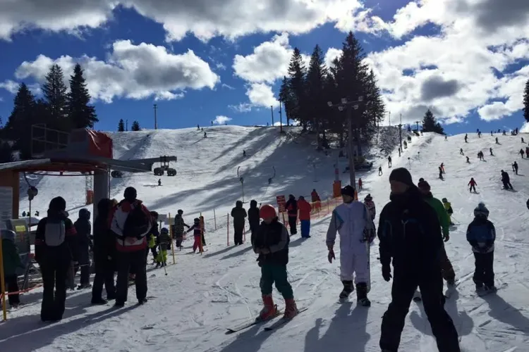 Carnaval la Arena Platoș Păltiniș, la baza pârtiei de schi - VIDEO