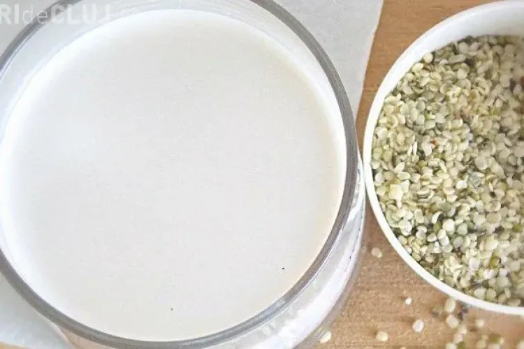 Cum prepari laptele de cânepă acasă și ce beneficii are