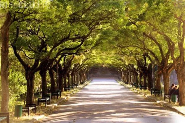 Râde tot Internetul! Cum a fost surprins un bărbat în parc, în plină zi - VIDEO