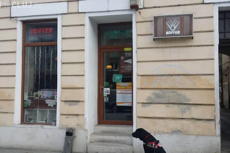 Câine terapeut, EVACUAT dintr-o cafenea din Cluj-Napoca - FOTO