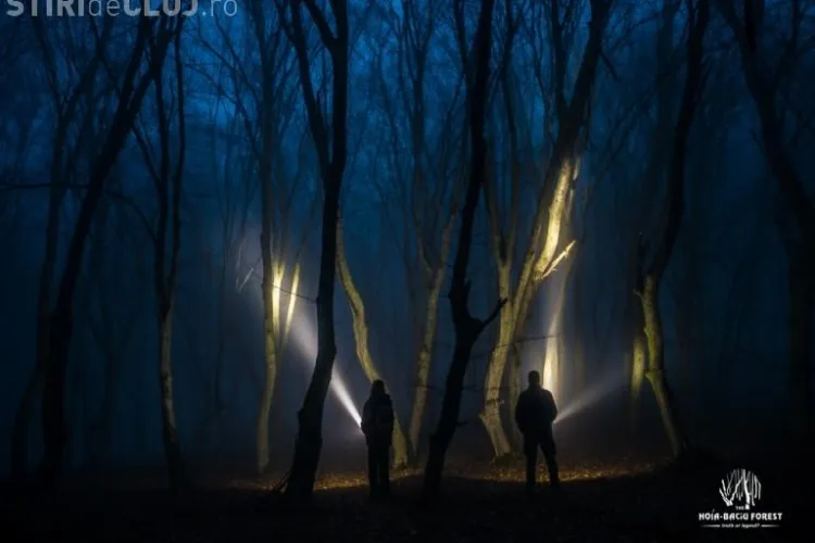 Documentar despre Pădurea Hoia-Baciu și misterele paranormale - TRAILER