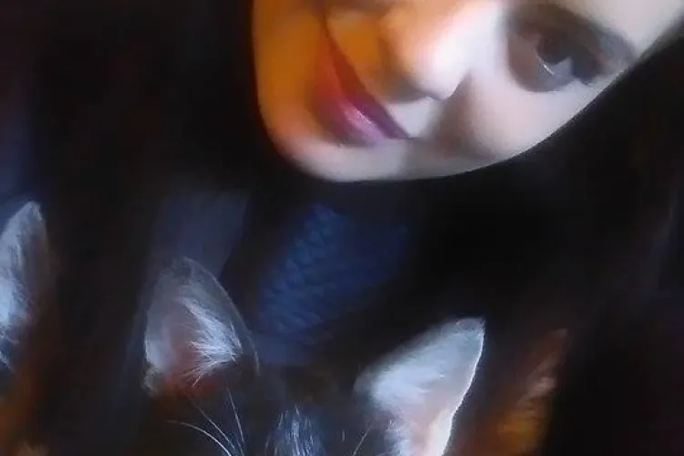 Cafeneaua cu pisici din Cluj-Napoca se redeschide