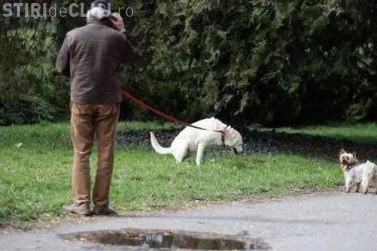 Cluj-Napoca - Amenzi pentru deținătorii de câini 
