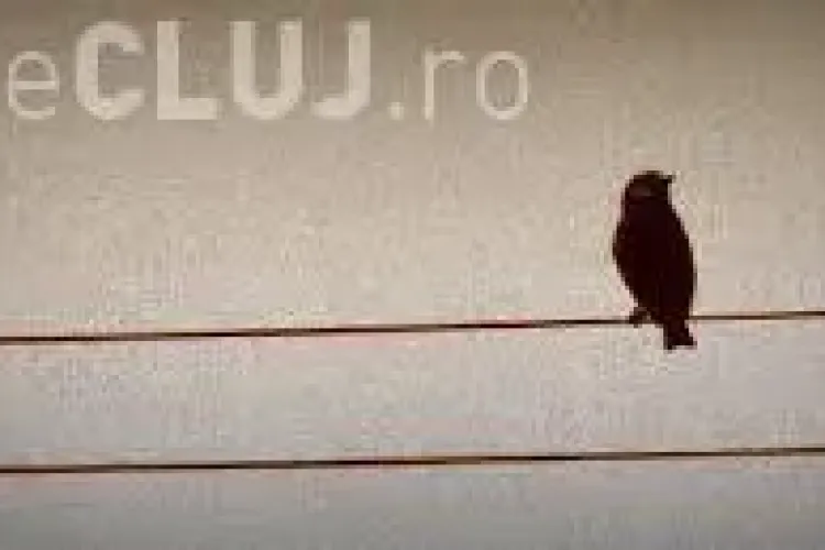 Consilierea pentru dezvoltare personală este o călătorie conştientă continuă. Deschide viitorul prin schimbarea de care ai nevoie (P)