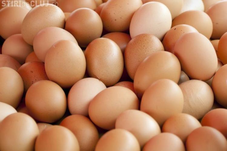Razie la vânzătorii de alimente la Cluj și în țară. Polițiștii vizează în special comerțul de ouă