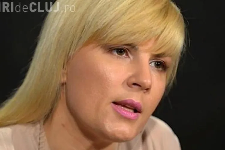 Udrea, după atentatele din Bruxelles: Problema nu este DACĂ, ci CÂND vor ajunge în România