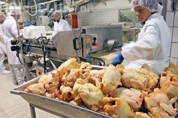 Federaţia Pro Agro face dezvăluiri GRAVE despre carnea de pasăre şi ouăle din import