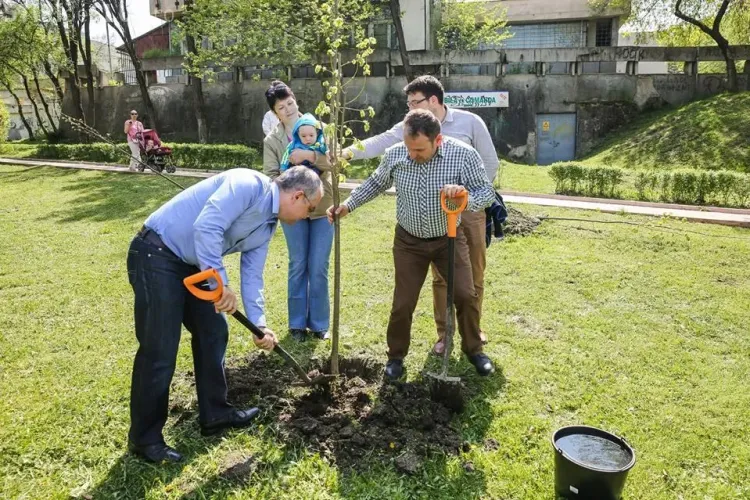 La Cluj se continuă proiectul ”un copil-un arbore”. Se plantează peste 200 de copaci