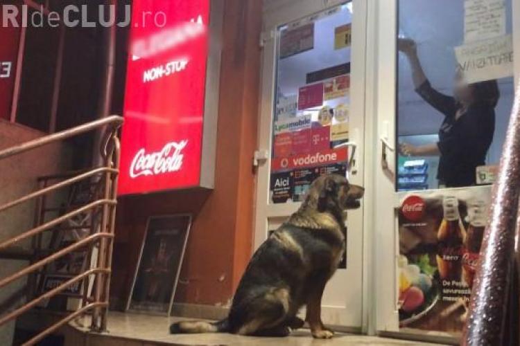 O vânzătoare din Cluj a fost ”BLOCATA” în magazin de un câine - VIDEO