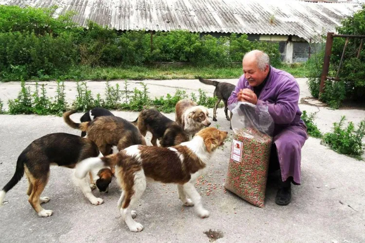 Cei 1000 de câini îngrijiți de Radu Țermure vor fi evacuați. Clujeanul are nevoie de ajutor URGENT