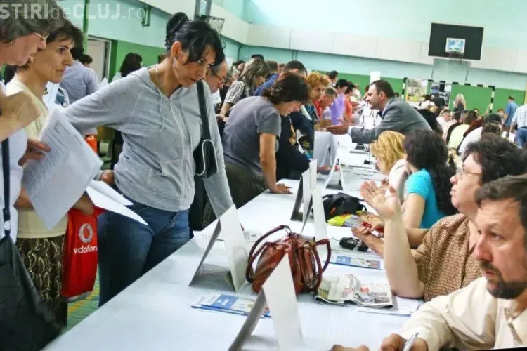 AJOFM Cluj organizează ”Bursa locurilor de muncă”, în cadrul ”European Employers Days”. Vezi când va avea loc