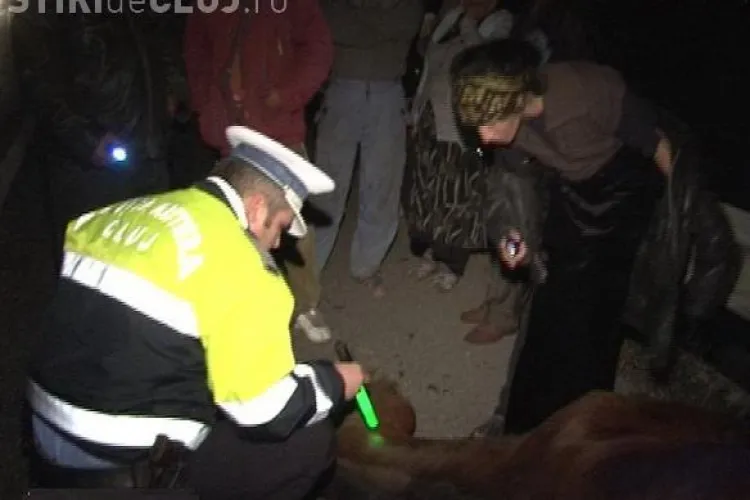 Accident cu doua victime in Savadisla! Un autoturism a lovit un cal lasat nesupravegheat, care a intrat pe drum 