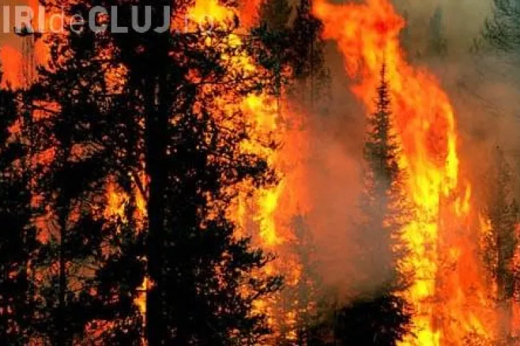 Incendiu de padure in zona Rachitele - Margau! Alarma a fost data de un grup de turisti, dar incendiul nu a fost localizat (UPDATE)