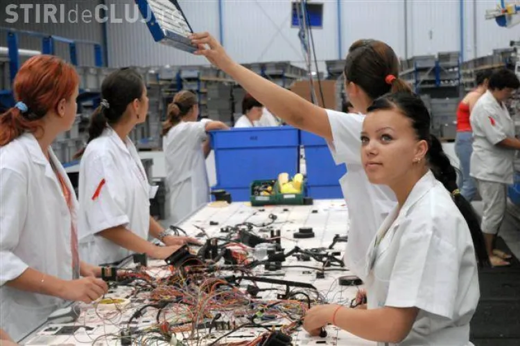 630 de locuri de munca nou create de Fujikura Automotive la Cluj - FOTO