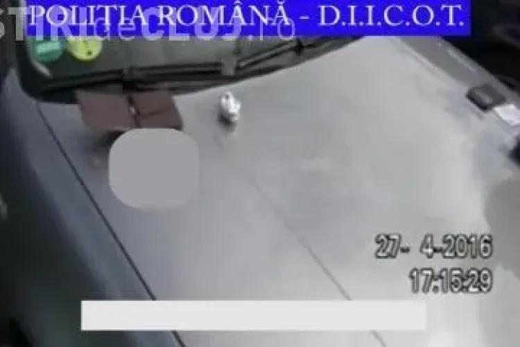 Captură de droguri la Cluj! Procurorii au confiscat peste 200 grame de cannabis VIDEO
