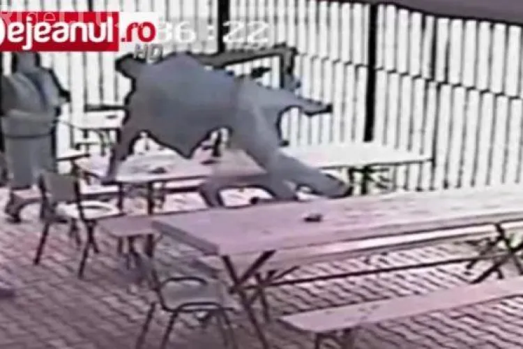 SCANDAL la o terasă din Dej. Doi bărbați au sărit peste mese ca să își împartă pumni și picioare VIDEO