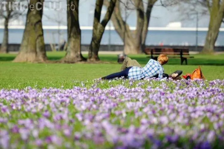Cum va fi vremea. PROGNOZA METEO pe două săptămâni 