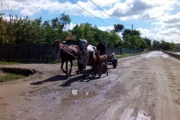 România are 747 de km de autostradă şi peste 10.000 de km de drumuri de pământ