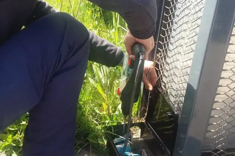 Acțiune de deratizare în Florești - FOTO