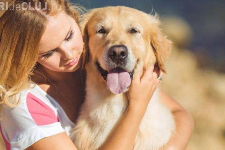 E bine să îți strângi în brațe câinii? Ce spun medicii veterinari