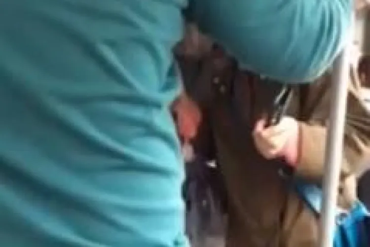 Clujeancă sechestrată de controlori în troleibuzul 6 - VIDEO