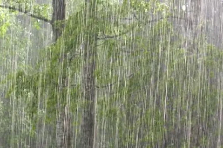 Ploaie torențială la Cluj. Ce spun meteorologii