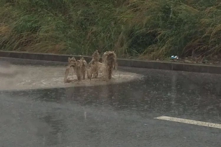 Străzile Brâncuși și Romul Ladea, inundate marți dimineața