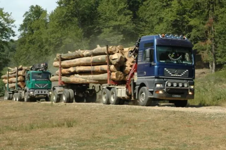 Control al poliției la un gater din Poieni, județul Cluj. Din păcate se dau numai amenzi