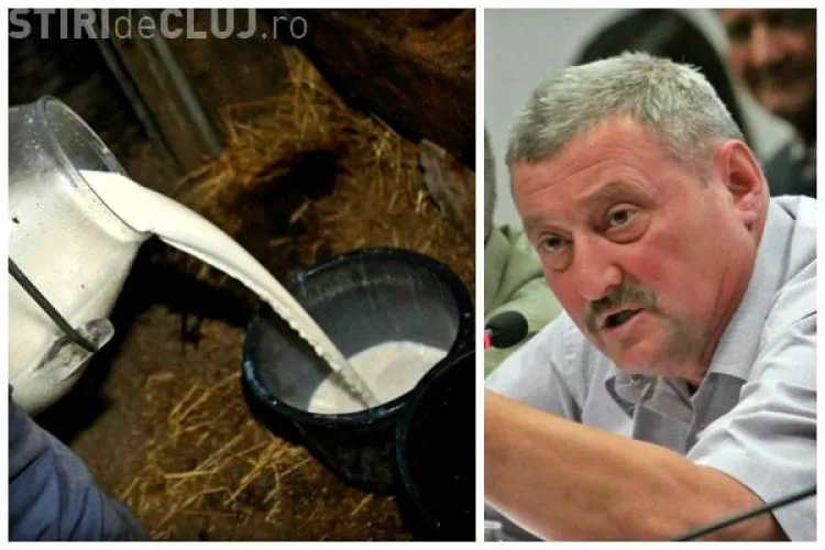 Fermier clujean: Dau laptele la canal și trimit vacile gestante la abator