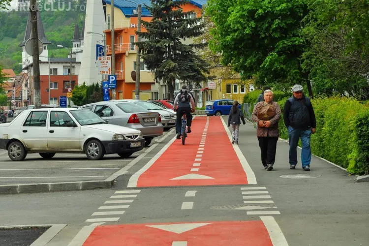 Șerpii au invadat pista de biciclete din Grigorescu - FOTO