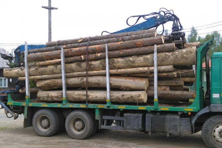 Captură de lemn la Cluj. Polițiștii au confiscat un camion plin cu lemne FOTO