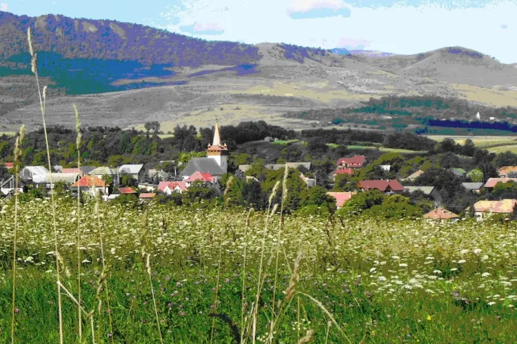 Două localități din Cluj și-au ales deja primarul. Vezi de ce duminică va fi doar confirmarea rezultatului