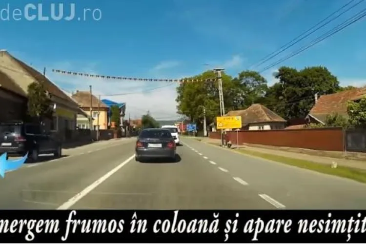 Toți mergeau în coloană în Gilău, când l-au văzut pe acest BIZON în acțiune - VIDEO