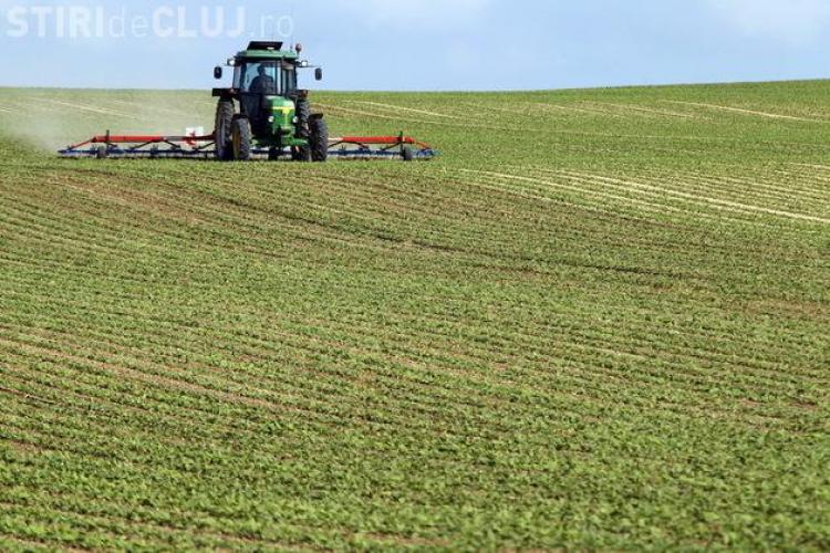 Proiect de lege: Străinii vor putea cumpăra maxim 50 de hectare de teren arabil
