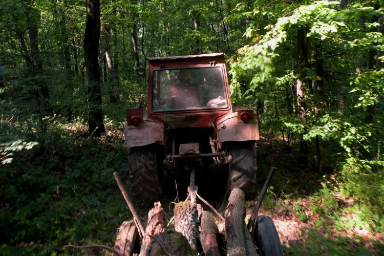 A scăzut TVA-ul la materiile prime agricole