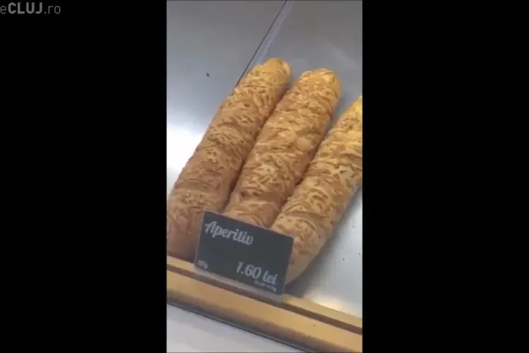 Muște moarte și vii în vitrina unei patiserii din Florești - VIDEO